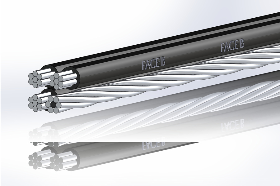 Icea-S-76-474 (9).jpg